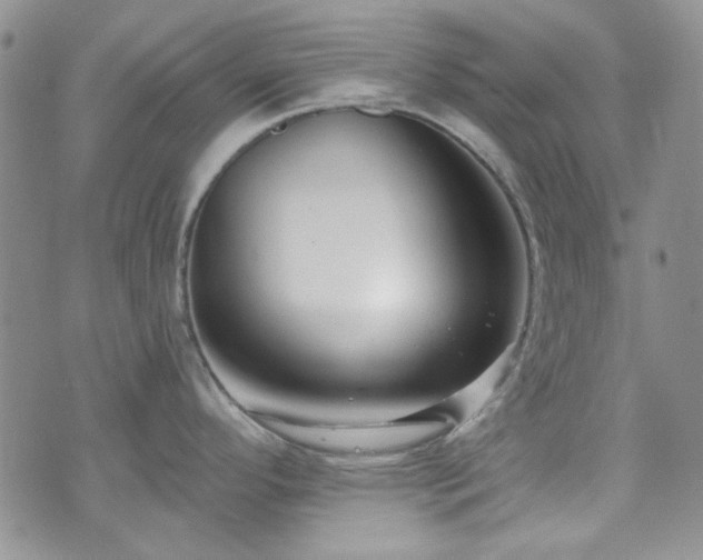 X0000075341296200609151502