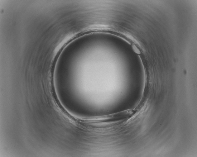 X0000075341325200609151501