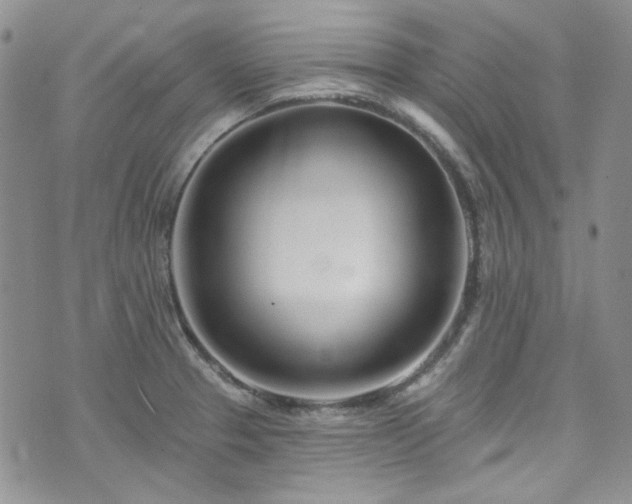 X0000075341329200609151501