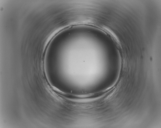 X0000075341340200609151502