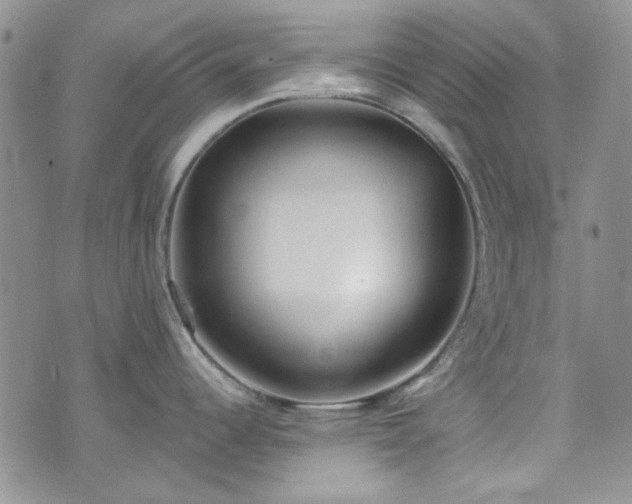 X0000075341344200609151502
