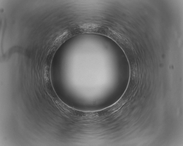 X0000075341346200609151501