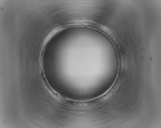 X0000075341370200609151500