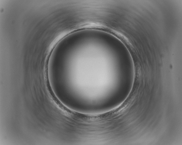 X0000075341375200609151500
