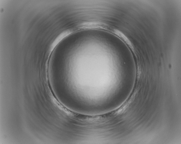 X0000075341386200609151500