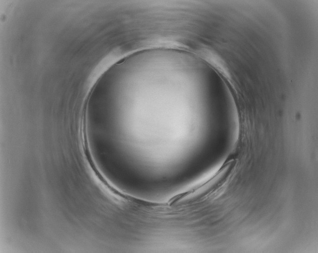 X0000075341391200609151500