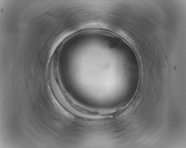 X0000075341392200609151500