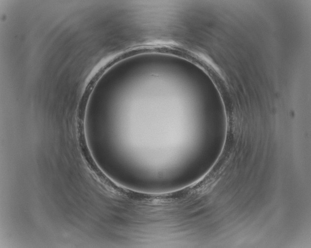X0000075341412200609151500