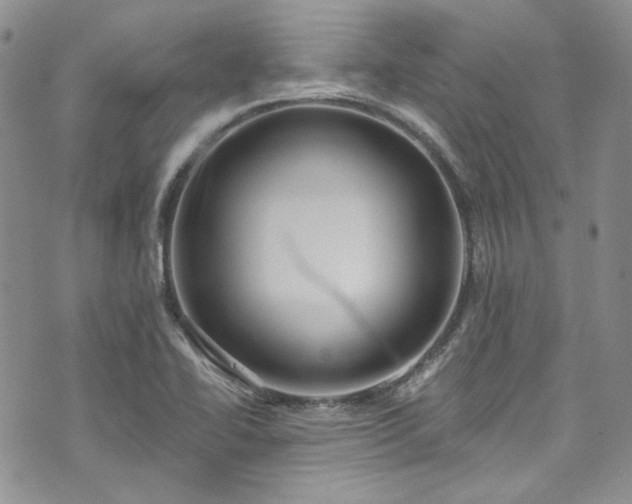 X0000075341414200609151500