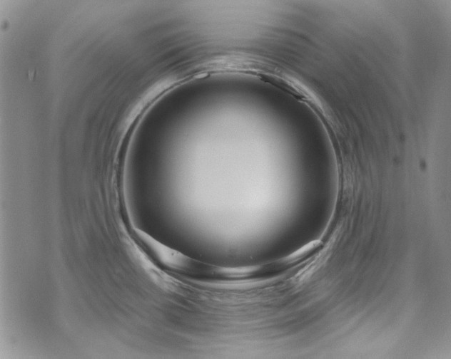 X0000075341434200609151500