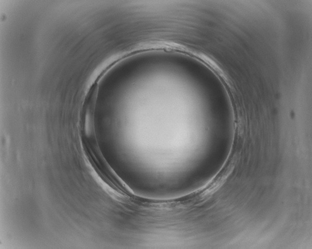 X0000075341438200609151500