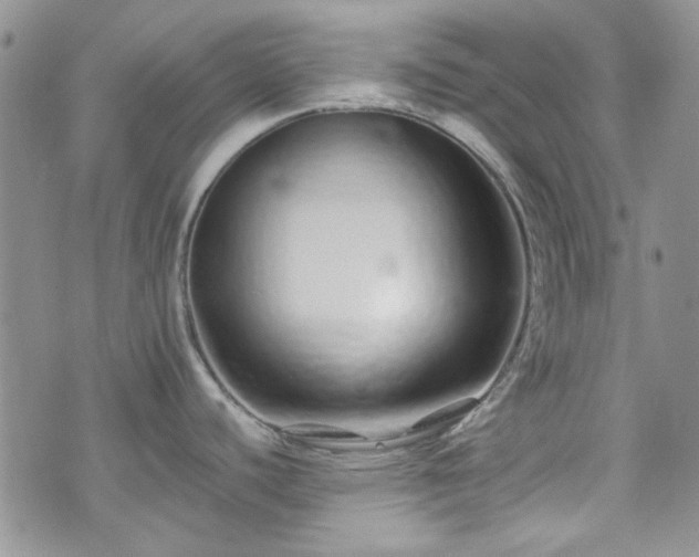 X0000075341440200609151500