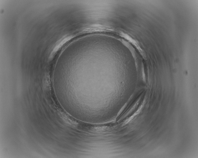 X0000075341453200609151459