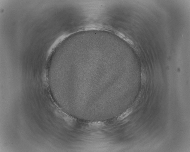 X0000075341454200609151459
