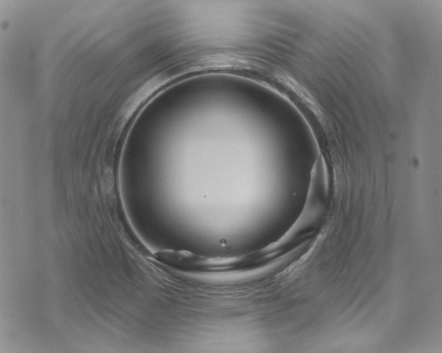 X0000075341465200609151459