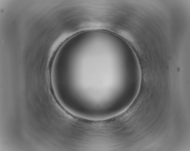 X0000075341472200609151459