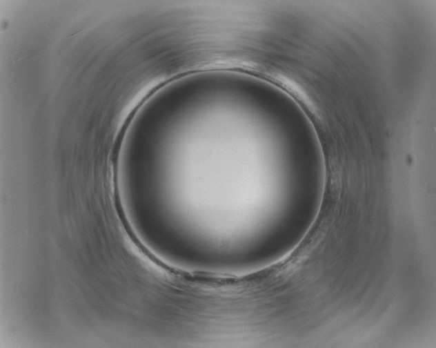 X0000075341476200609151459