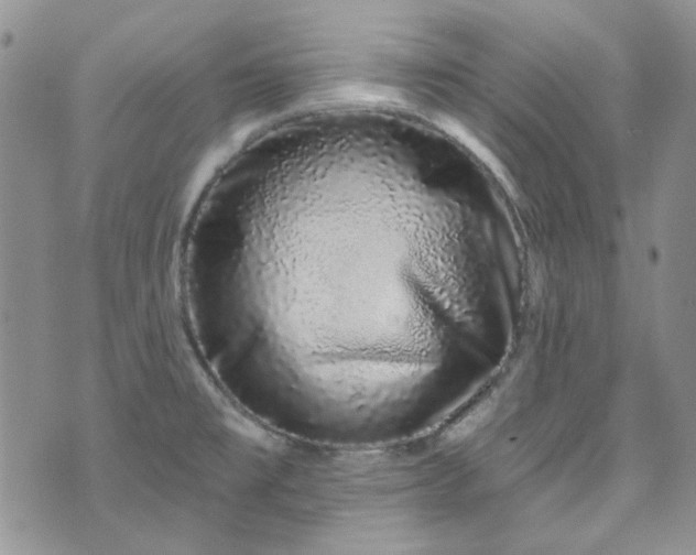 X0000075341477200609151459