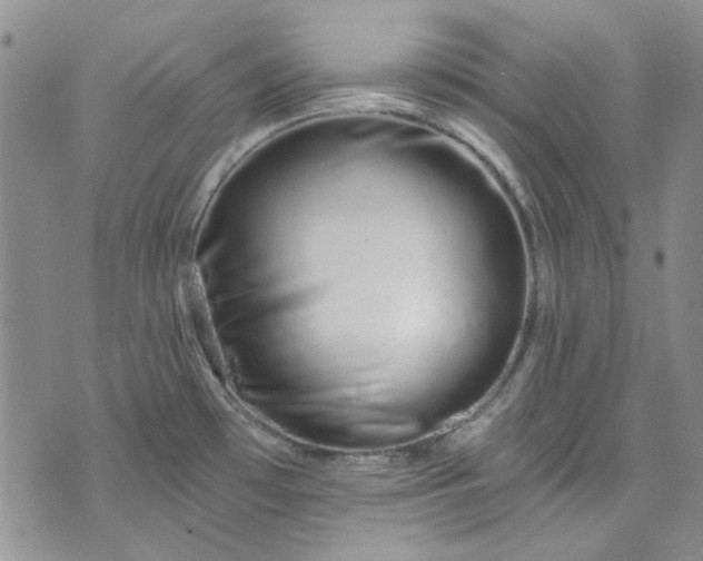 X0000075341481200609151459