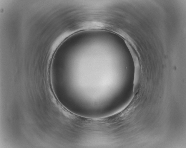 X0000075341488200609151458