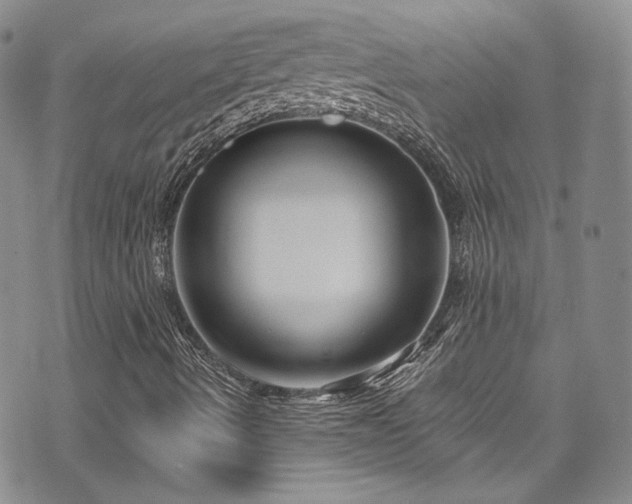 X0000075341490200609151458