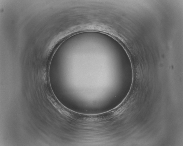 X0000075341499200609151458