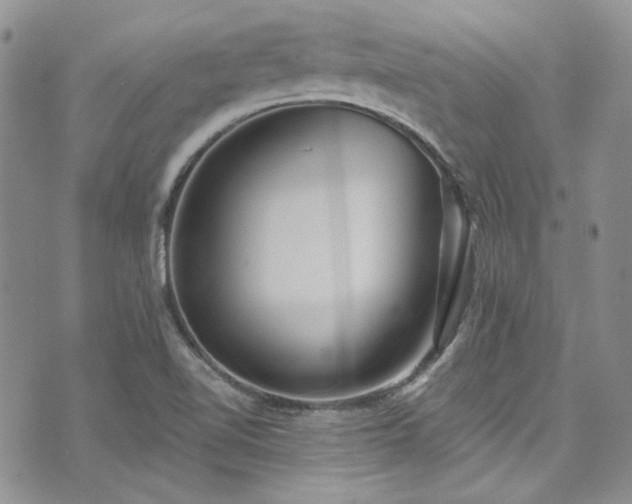 X0000075341510200609151458