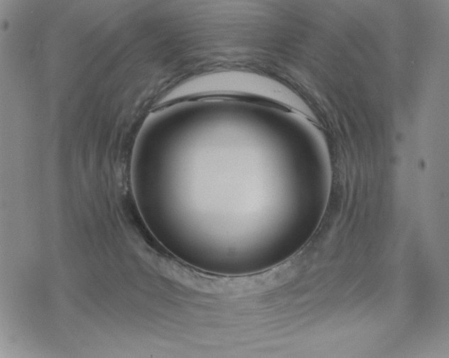 X0000075340031200609251023