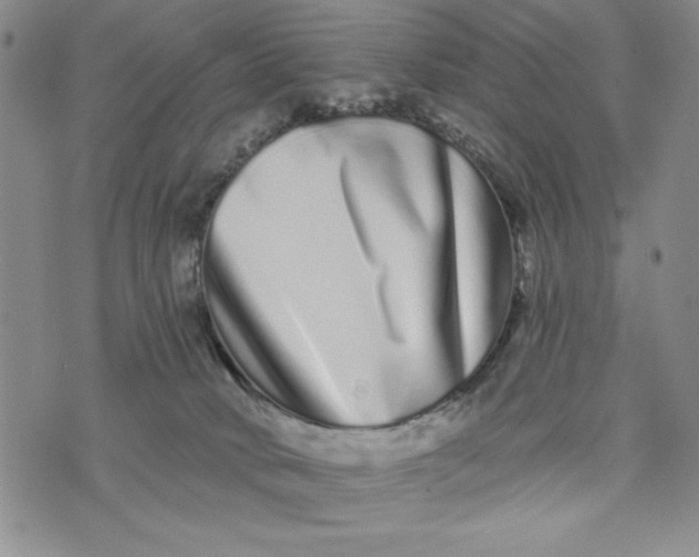 X0000075340034200609251023
