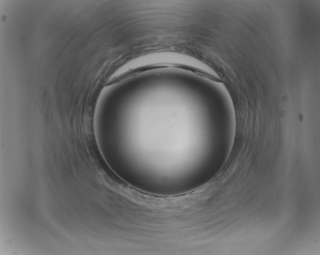 X0000075340035200609251023