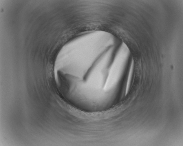 X0000075340038200609251023