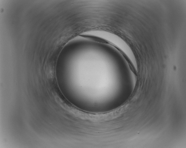 X0000075340039200609251023