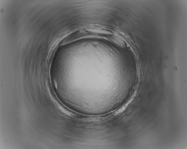 X0000075340049200609251022