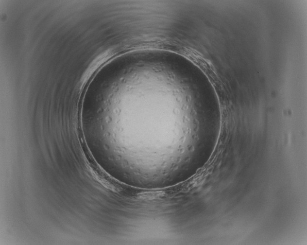 X0000075340051200609251022