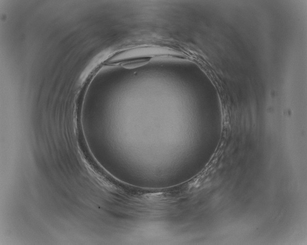X0000075340054200609251022