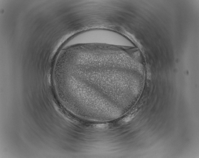 X0000075340060200609251022