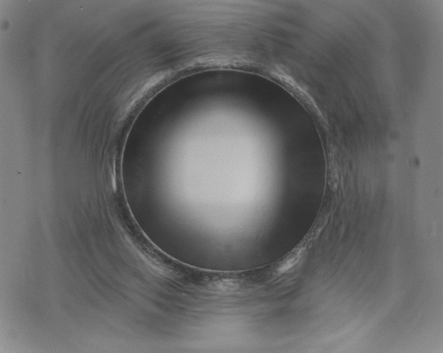 X0000075340062200609251022