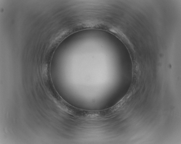 X0000075340066200609251022