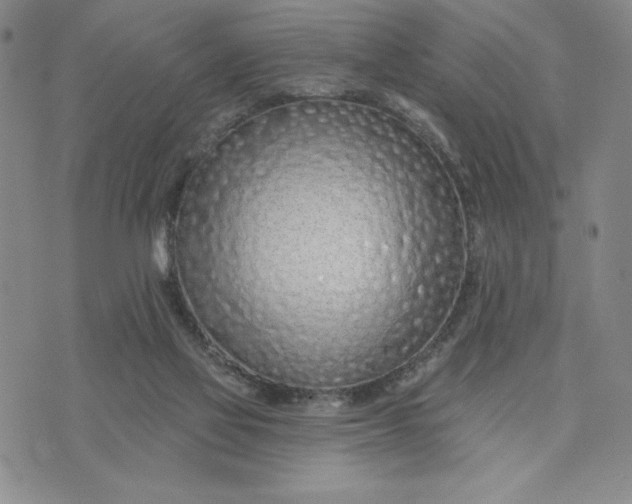 X0000075340069200609251022