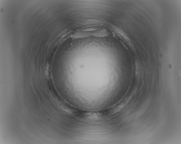 X0000075340073200609251022