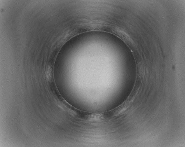 X0000075340077200609251022