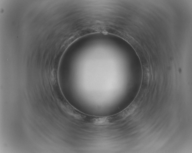 X0000075340088200609251022