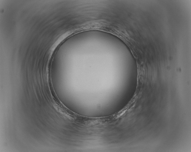 X0000075340100200609251022