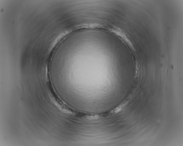 X0000075340110200609251022