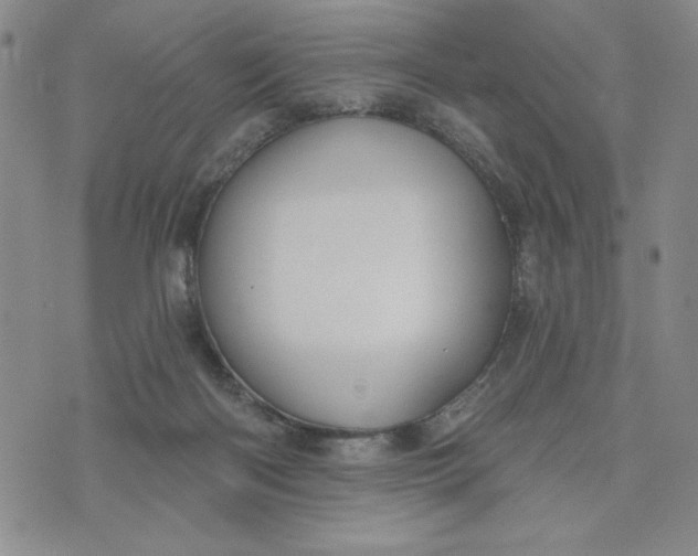 X0000075340122200609251021