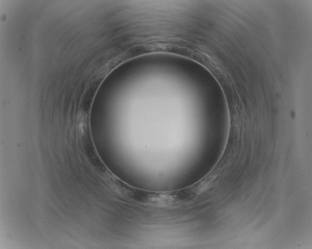 X0000075340125200609251021