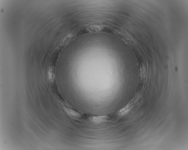 X0000075340134200609251021