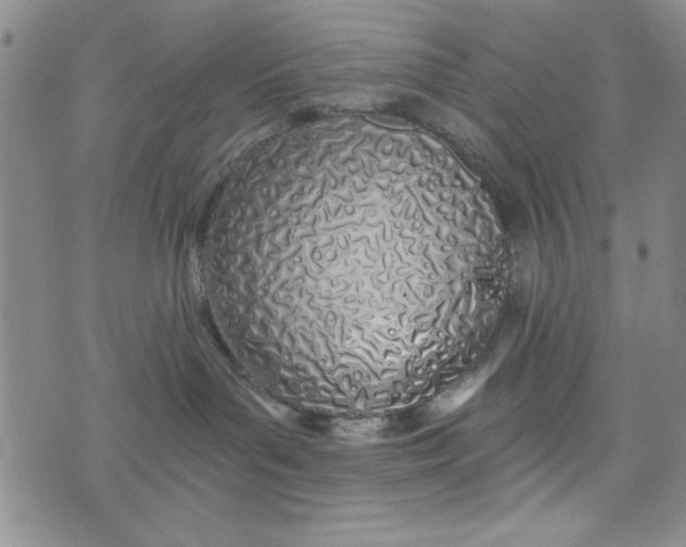 X0000075340143200609251021