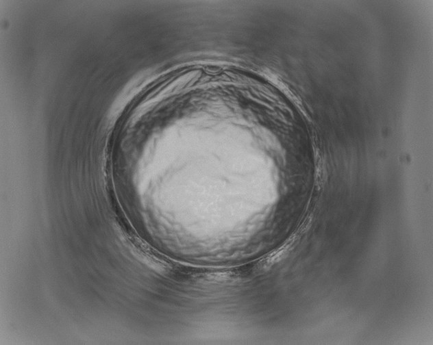 X0000075340151200609251020