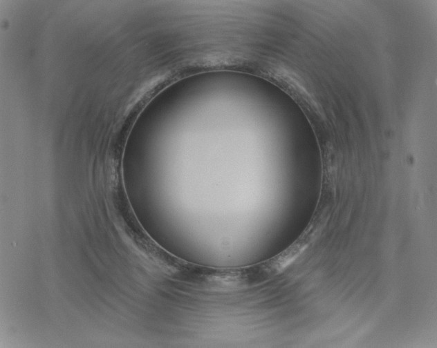 X0000075340164200609251021